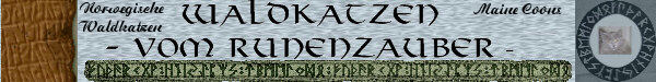 MCORunenzauberNFO02