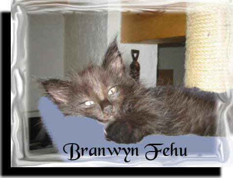 Branwyn_21080502